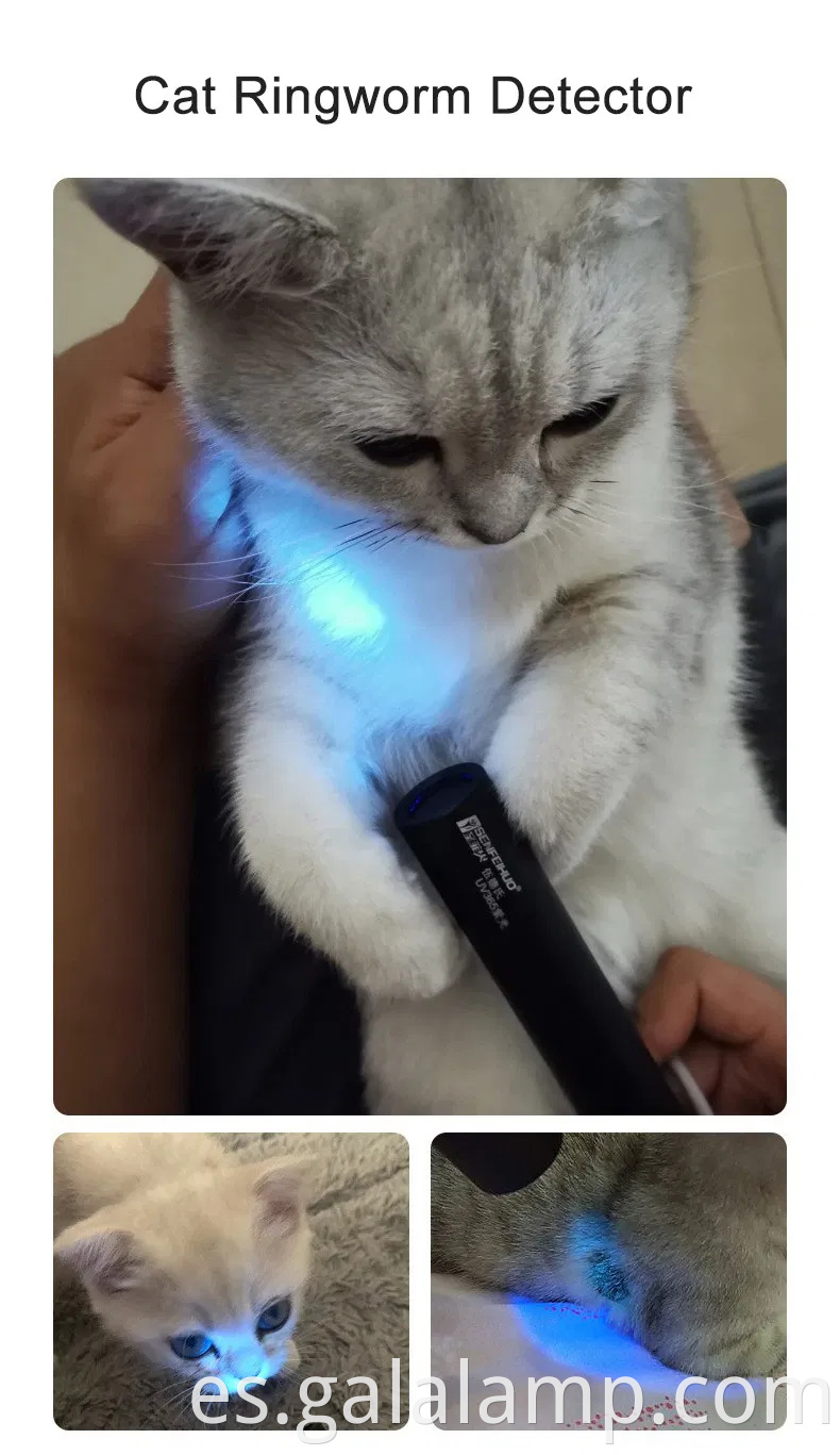 Linterna UV de 365 nm portátil con luz negra recargable y 5 modos